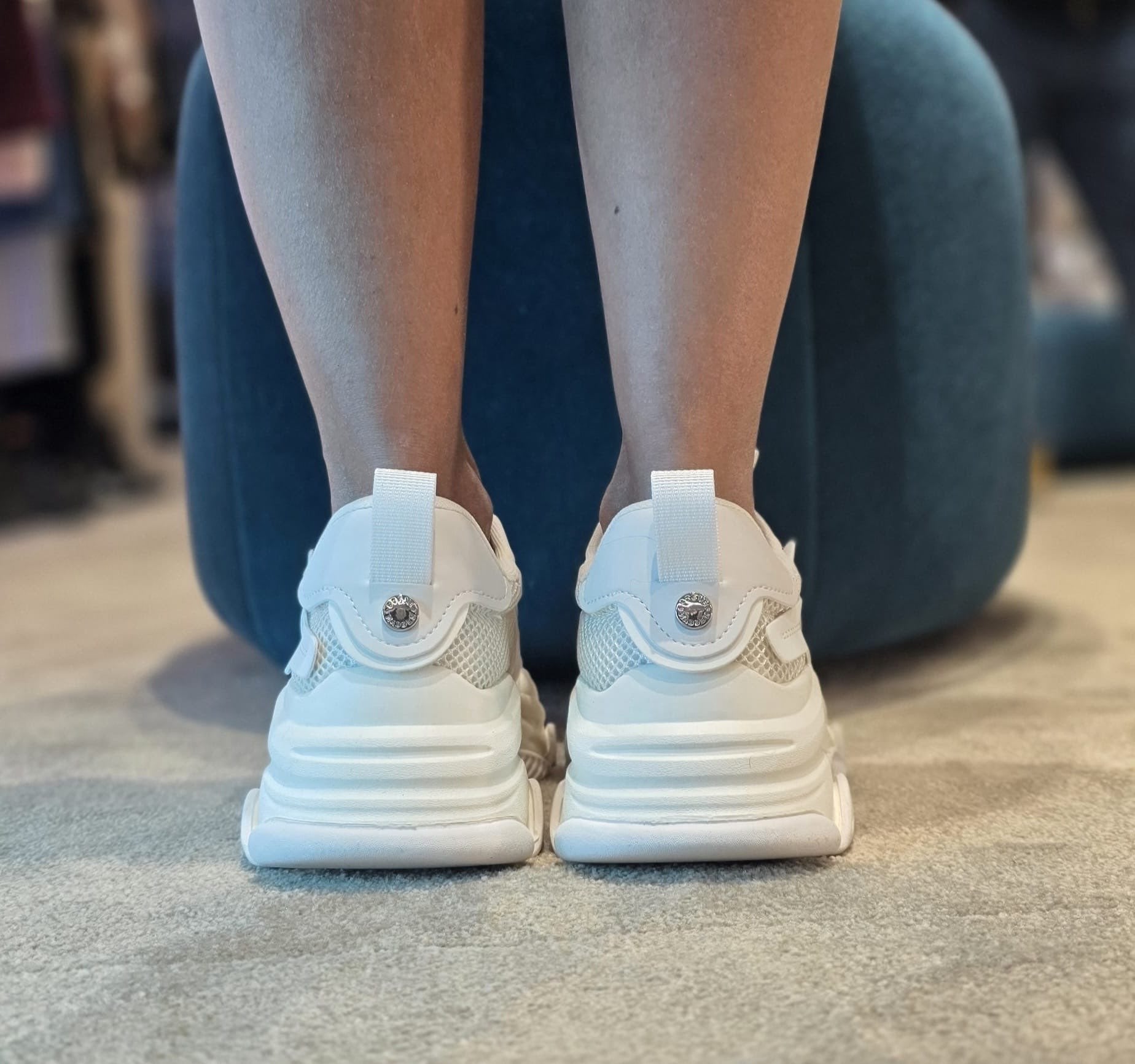 POSSESSION-E - Scarpe - STEVE MADDEN
