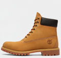 POCEY PINE - Scarpe - TIMBERLAND